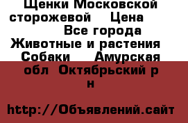 Щенки Московской сторожевой  › Цена ­ 25 000 - Все города Животные и растения » Собаки   . Амурская обл.,Октябрьский р-н